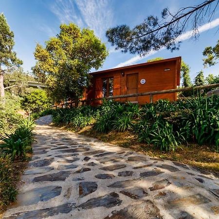 Arrabia Bunga Payva Guest House Raiva Luaran gambar
