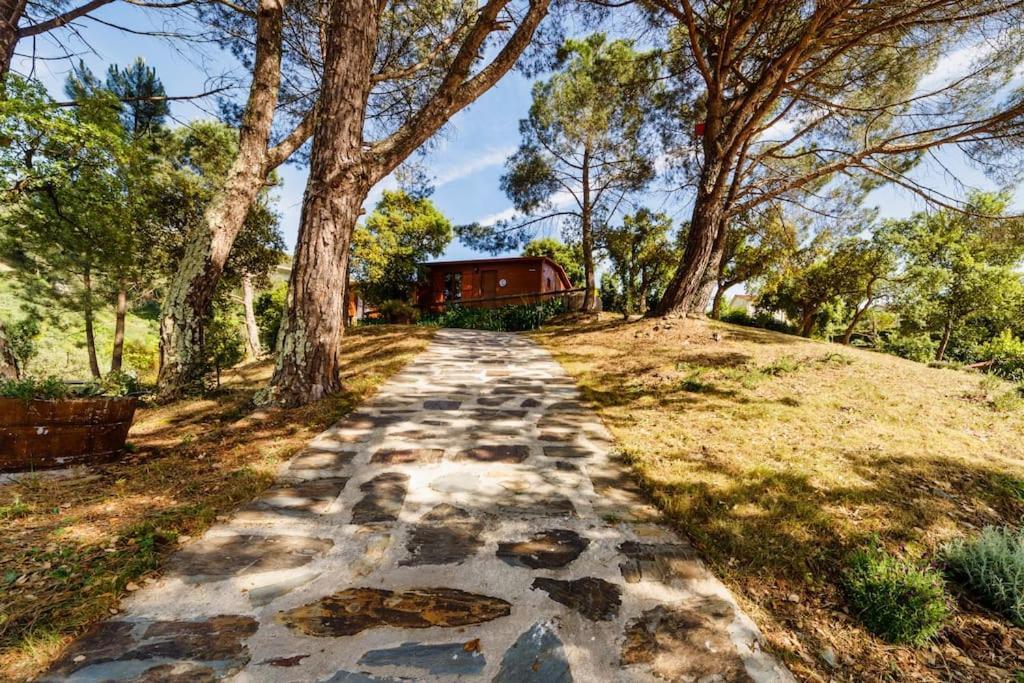 Arrabia Bunga Payva Guest House Raiva Luaran gambar
