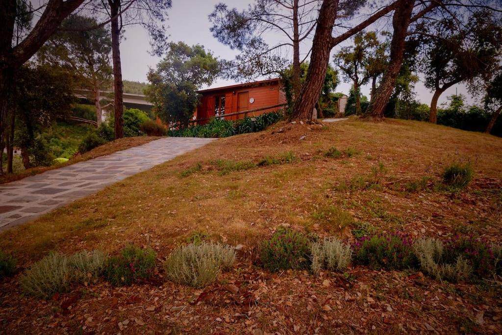 Arrabia Bunga Payva Guest House Raiva Luaran gambar