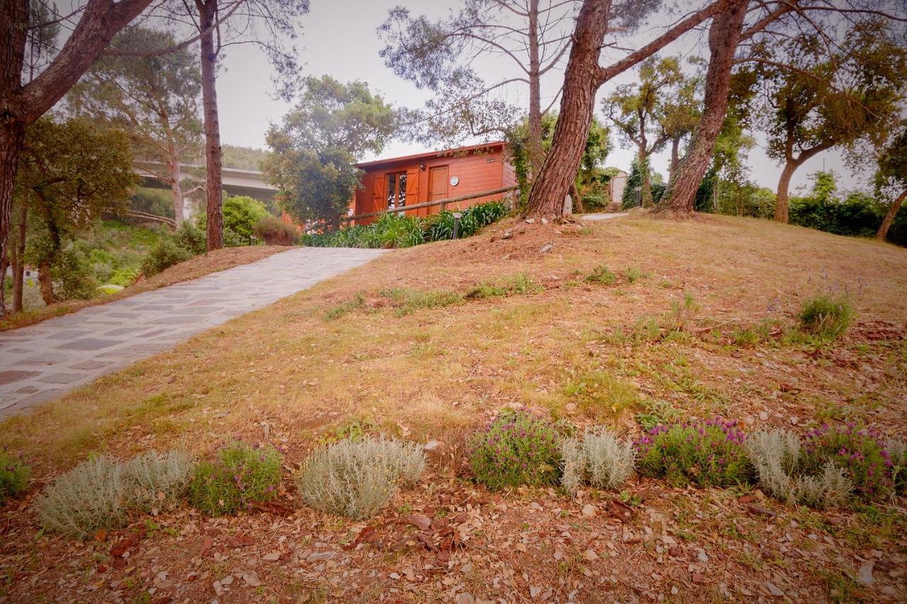 Arrabia Bunga Payva Guest House Raiva Luaran gambar